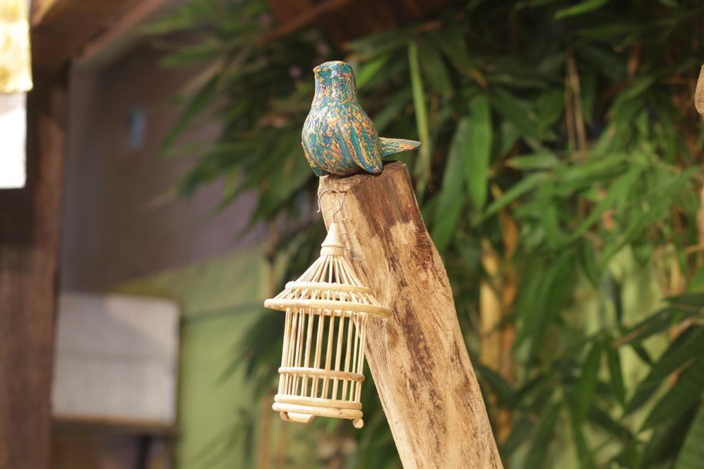 Green Bird Villa - Chse Certified Ubud Extérieur photo